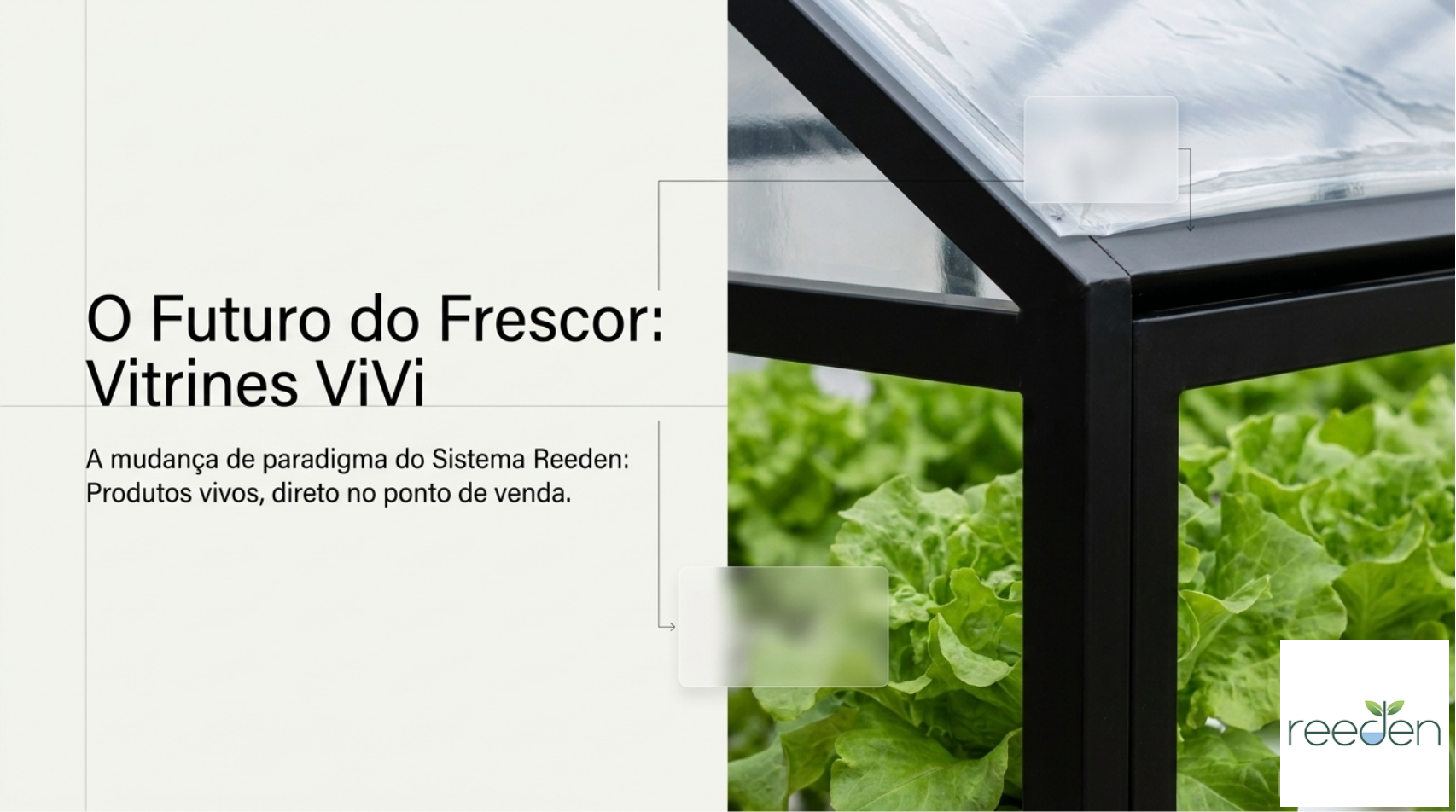 ViVi: Estrutura modular em madeira e acrílico com planta viva