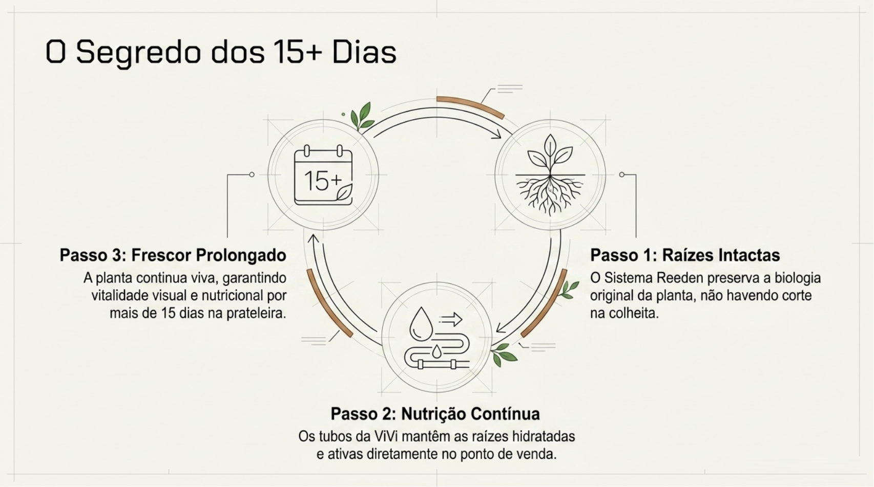 Embalagem de proteção para raízes com água e vedação