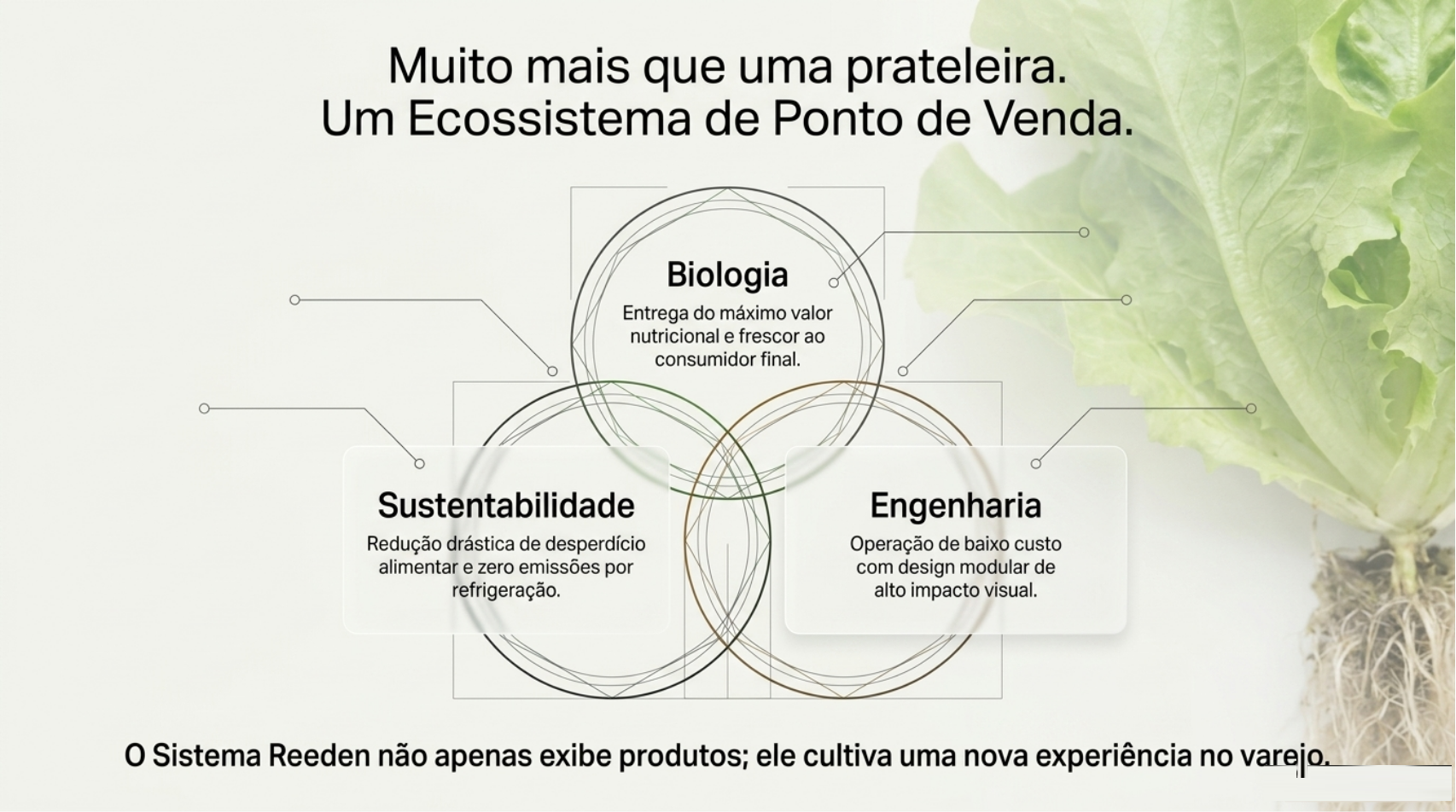 Múltiplas ViVi em rede — implantação em rede de supermercados
